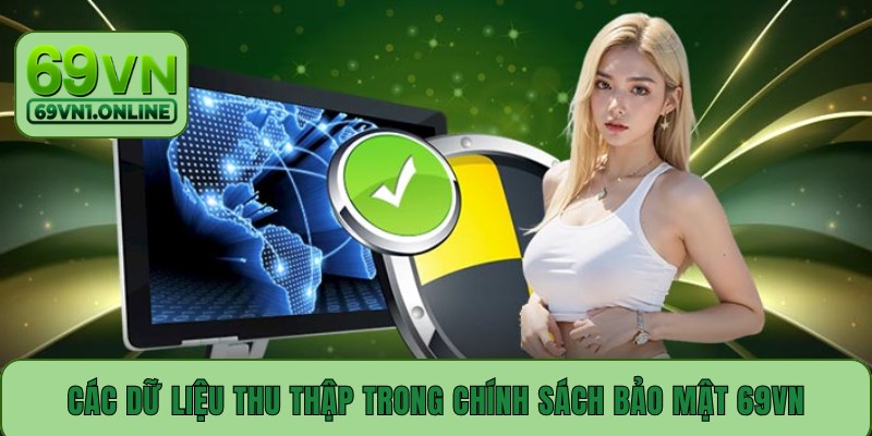 Các dữ liệu thu thập trong chính sách bảo mật 69VN