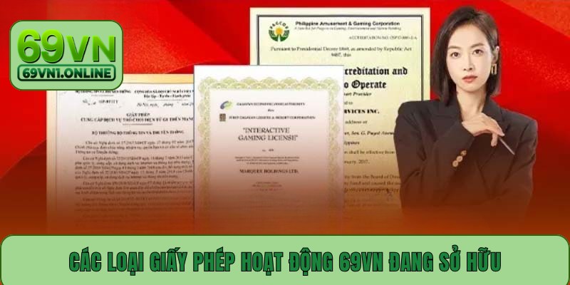 Các loại giấy phép hoạt động 69VN đang sở hữu