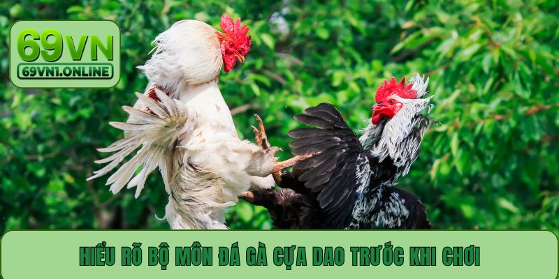 Hiểu rõ bộ môn đá gà cựa dao trước khi chơi