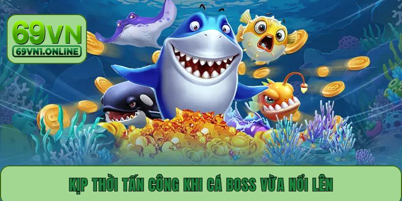 Kịp thời tấn công khi cá boss vừa nổi lên